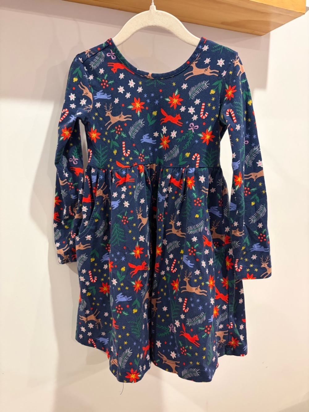 Hanna Andersson Long Sleeve Skater Dress - Winter Wonderland - size 100(4)